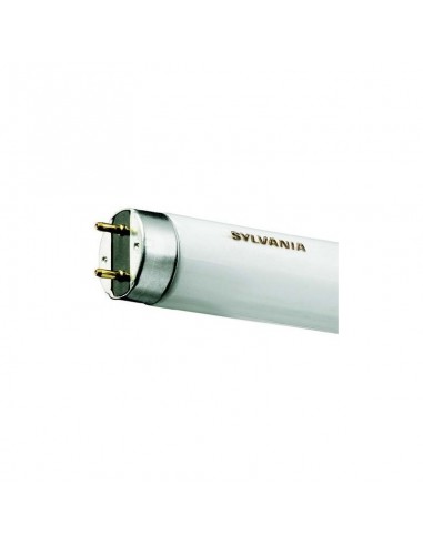 Tube Fluorescent Neon T5 Sylvania 80W 865 - Blanc Lumière Du Jour, 6500K
