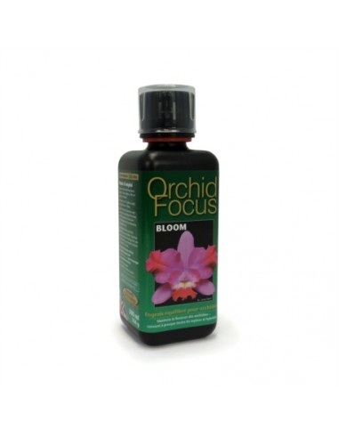Orchid Focus Bloom 100 Ml