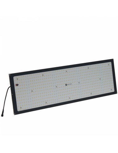 Panneau Led Quantum Board 240w - Agrolight Led