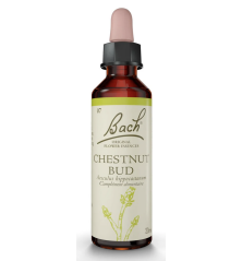 FLEURS DE BACH ORIGINAL N*7 CHESTNUT BUD 20ML