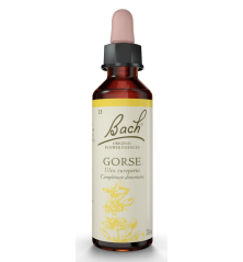 FLEURS DE BACH ORIGINAL N*13 GORSE 20ML