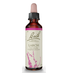 FLEURS DE BACH ORIGINAL N*19 LARCH 20ML