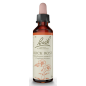 FLEURS DE BACH ORIGINAL N*26 ROCK ROSE 20ML