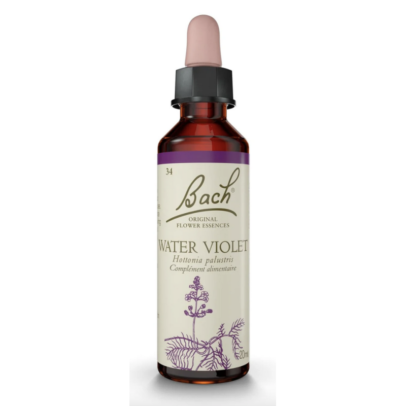 FLEURS DE BACH ORIGINAL N*34 WATER VIOLET 20ML