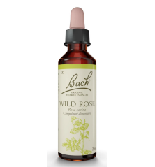 FLEURS DE BACH ORIGINAL N*37 WILD ROSE 20ML