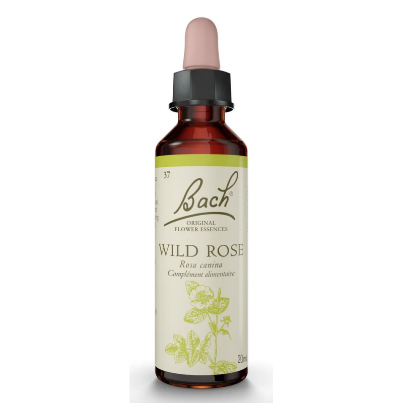 FLEURS DE BACH ORIGINAL N*37 WILD ROSE 20ML