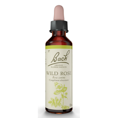 FLEURS DE BACH ORIGINAL N*37 WILD ROSE 20ML