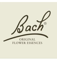 FLEURS DE BACH ORIGINAL N*14 HEATHER 20ML