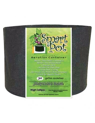 Smart Pot 30 Gallon Original