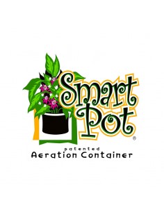 Smart Pot 4 Gallon Original