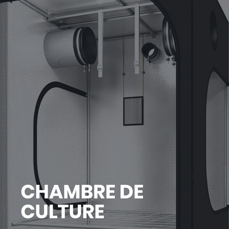 Chambre de culture