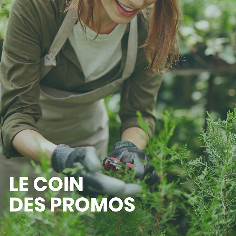 Le coin des promos