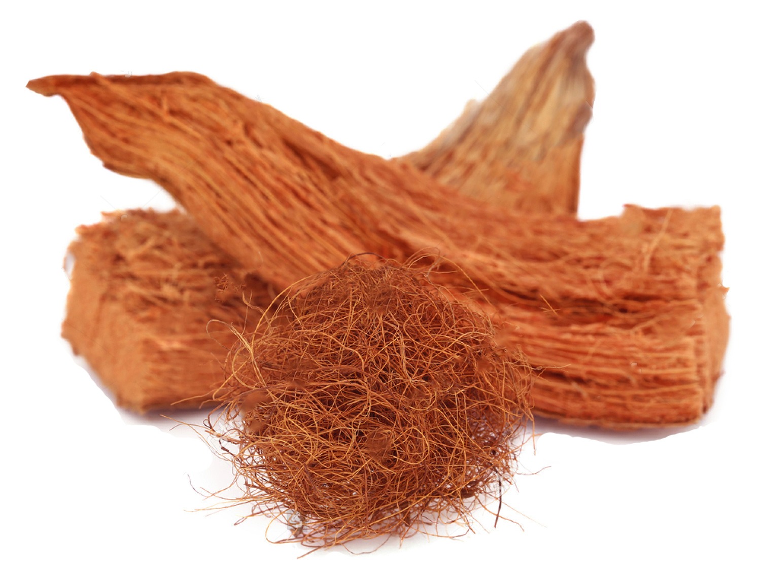 Top 91+ imagen fibre de coco avantages et inconvénients fr